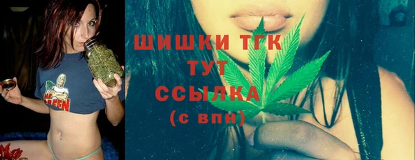 индика Богородск