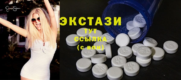 индика Богородск