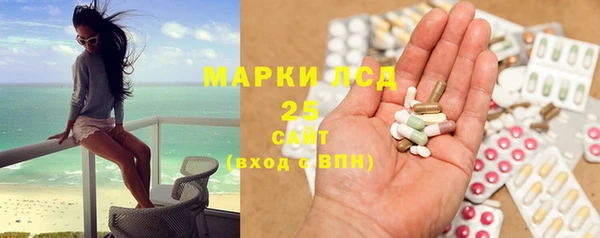 индика Богородск