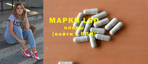 индика Богородск