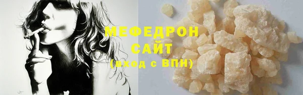 индика Богородск