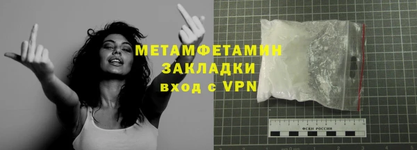 индика Богородск