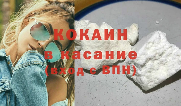 индика Богородск