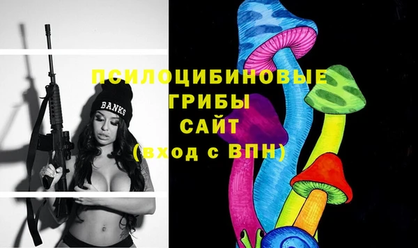 амф Богданович